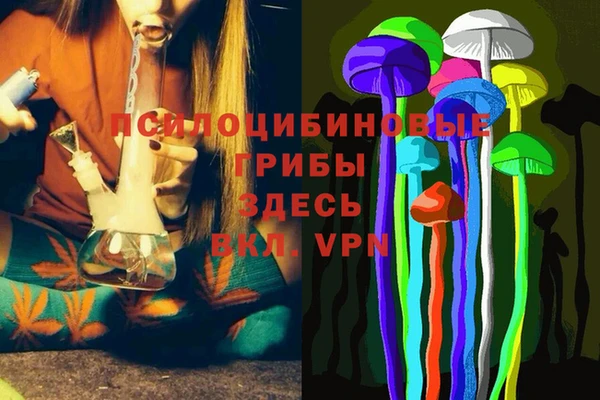 а пвп мука Богданович