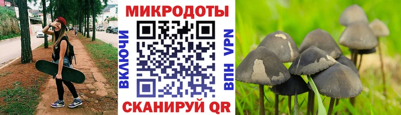 Псилоцибиновые грибы Psilocybe  Светлый 